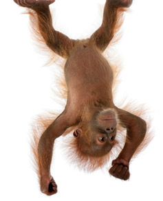 Visual Habitat - Your Creative Domain located in Brantford Ontario